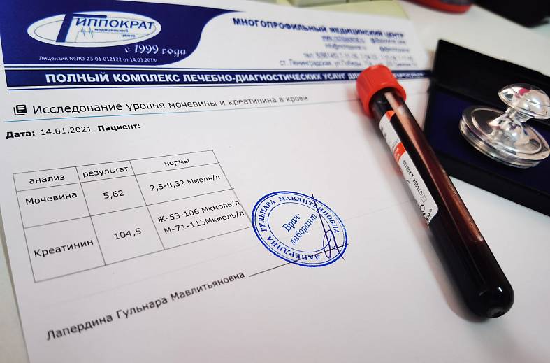 Исследование уровня мочевины и креатинина в крови