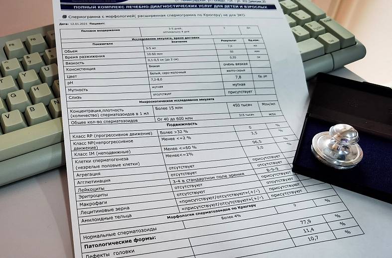 Спермограмма по Крюгеру