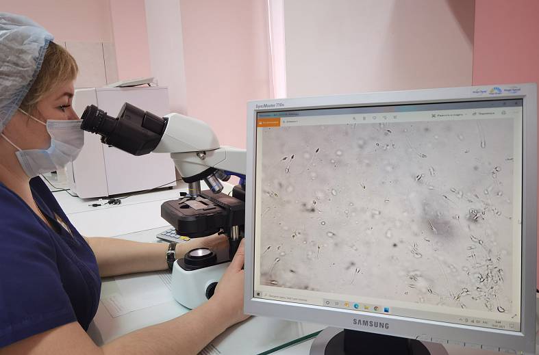 Спермограмма по Крюгеру